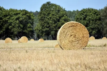 译林版七年级英语下册 04 Unit 1 Home 课文串讲（下）